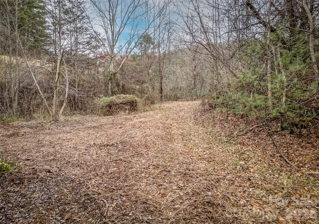Photo 3 of House for sale at 896 Newfound Rd, Leicester, NC 28748 | MLS# 4337917 | Listing updated on 2026-09-28