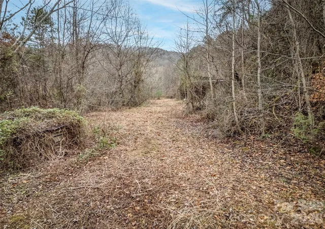 Photo 4 of House for sale at 896 Newfound Rd, Leicester, NC 28748 | MLS# 4337917 | Listing updated on 2026-09-28