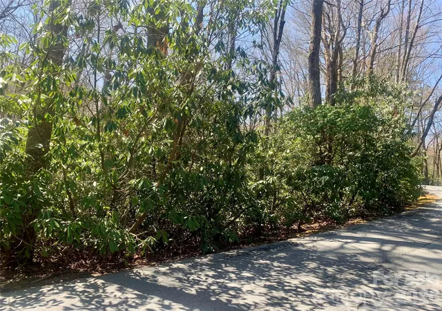 Photo 2 of Land for sale at Lot 20a Indian Lake Rd #20A, Lake Toxaway, NC 28747 | MLS# 4343901 | Listing updated on 2026-09-15