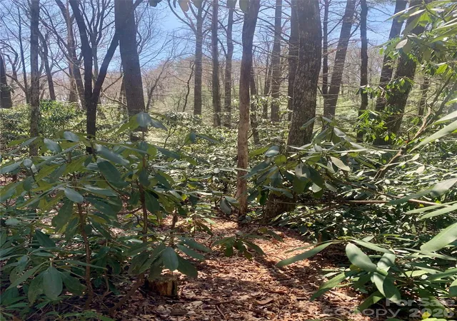 Photo 3 of Land for sale at Lot 20a Indian Lake Rd #20A, Lake Toxaway, NC 28747 | MLS# 4343901 | Listing updated on 2026-09-15