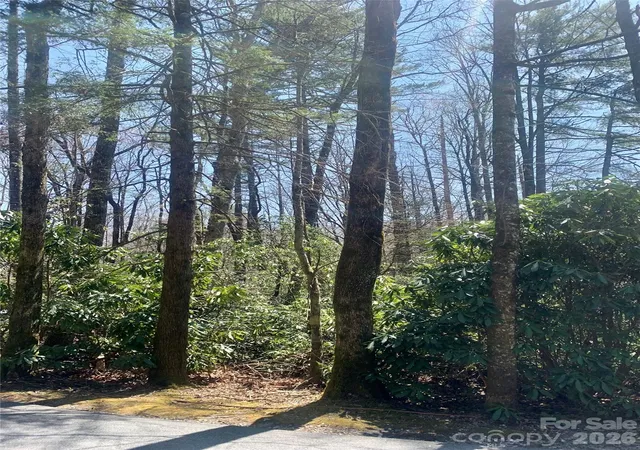 Photo 4 of Land for sale at Lot 20a Indian Lake Rd #20A, Lake Toxaway, NC 28747 | MLS# 4343901 | Listing updated on 2026-09-15