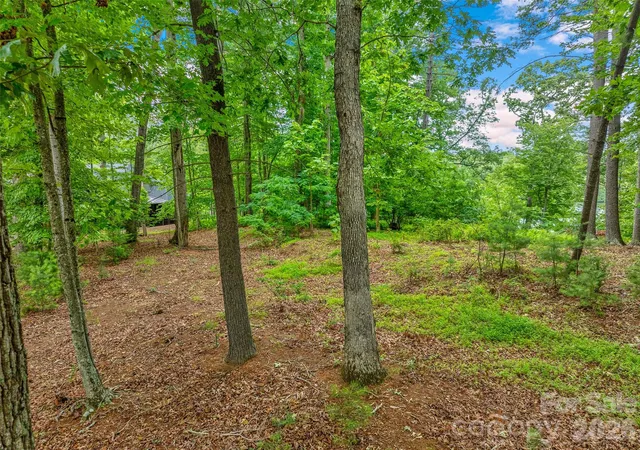 Photo 4 of Land for sale at 17 Hendrickson Ct, Candler, NC 28715 | MLS# 4350481 | Listing updated on 2026-09-14
