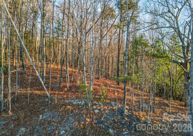 Photo 3 of Land for sale at 99 Spring Song Ln #9, Fletcher, NC 28732 | MLS# 4358183 | Listing updated on 2026-09-15