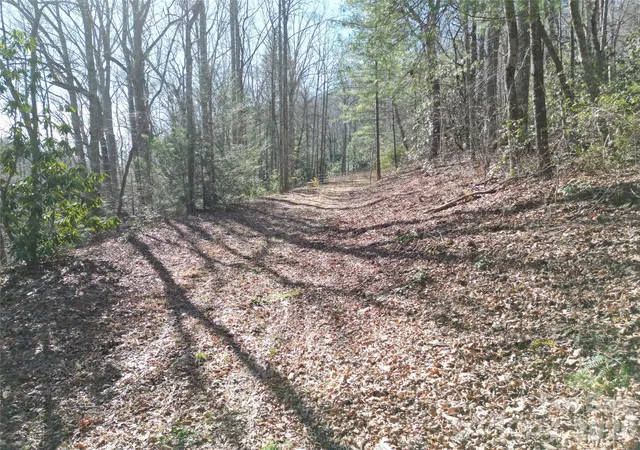 Photo 2 of Land for sale at 49 Reeds Crk Rd, Fairview, NC 28730 | MLS# 4359793 | Listing updated on 2026-09-11