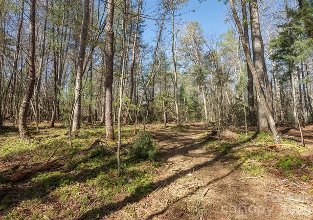 Photo 1 of Land for sale at 137 Nancy Ashworth Ln #13, Fairview, NC 28730 | MLS# 4369125 | Listing updated on 2026-09-15