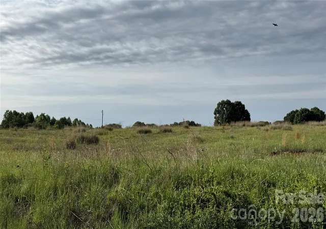 Photo 3 of Land for sale at Tbd Nc 10 Hwy, Newton, NC 28658 | MLS# 4378378 | Listing updated on 2026-09-11