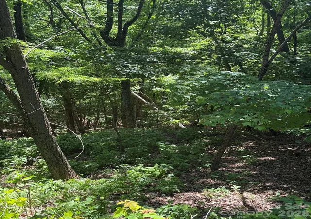 Photo 3 of Land for sale at 85 Adirondack Ln #85, Bostic, NC 28018 | MLS# 4380192 | Listing updated on 2026-09-14