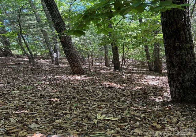 Photo 4 of Land for sale at 85 Adirondack Ln #85, Bostic, NC 28018 | MLS# 4380192 | Listing updated on 2026-09-14