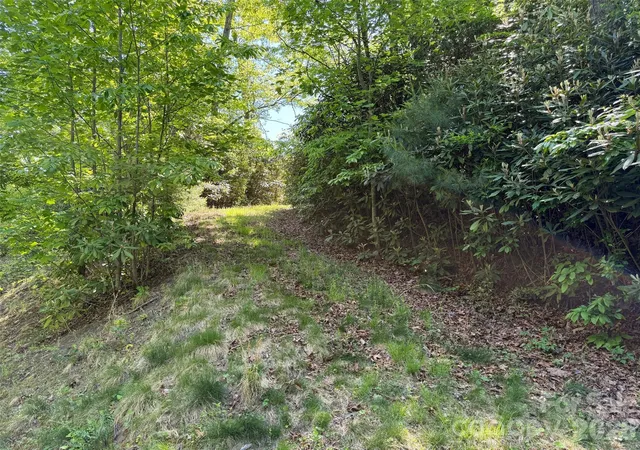 Photo 4 of Land for sale at 10c Reserve Rd, Pisgah Forest, NC 28768 | MLS# 4381503 | Listing updated on 2026-09-11