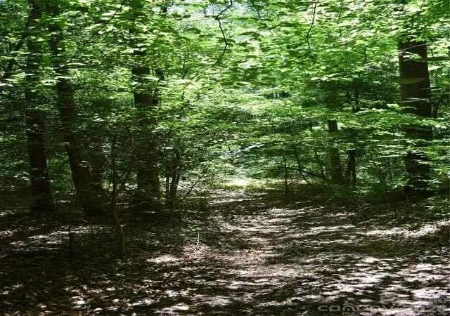 Photo 3 of Land for sale at 0 Floyd Blackwell Rd, Tryon, NC 28722 | MLS# 4381693 | Listing updated on 2026-09-10