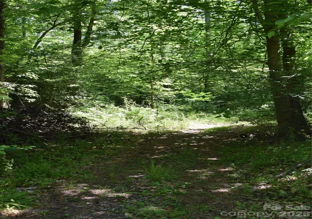 Photo 4 of Land for sale at 0 Floyd Blackwell Rd, Tryon, NC 28722 | MLS# 4381693 | Listing updated on 2026-09-10