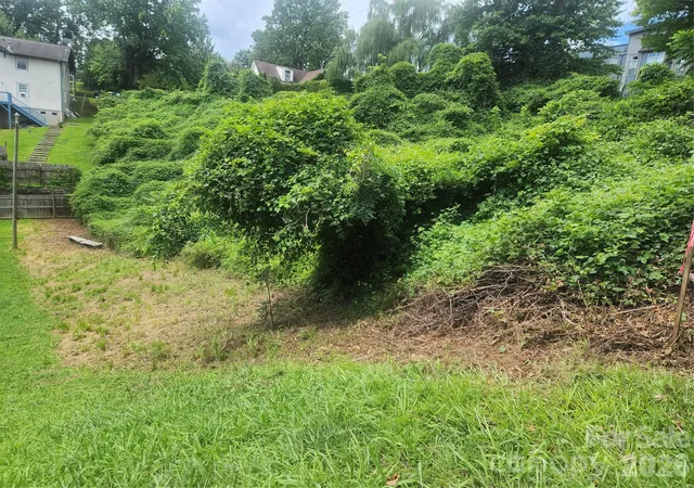 Photo 4 of Land for sale at 99999 Rector St, Asheville, NC 28801 | MLS# 4386300 | Listing updated on 2026-09-11