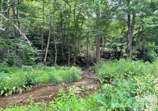 Photo 3 of Land for sale at 1771 Hughes Gap Rd, Bakersville, NC 28705 | MLS# 4391082 | Listing updated on 2026-09-11