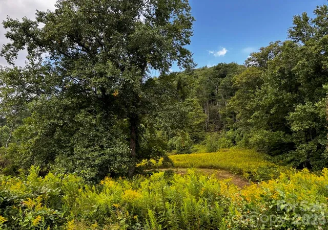 Photo 3 of House for sale at 1771 Hughes Gap Rd, Bakersville, NC 28705 | MLS# 4391082 | Listing updated on 2026-09-11
