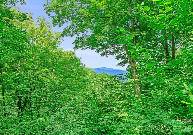 Photo 3 of Single family home for sale at 140 Falls Xing Rd, Burnsville, NC 28714 | MLS# 4393426 | Listing updated on 2026-10-02