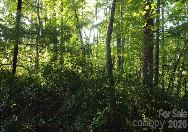 Photo 3 of Land for sale at 0000 Havens Crk Rd #4, Black Mountain, NC 28711 | MLS# 4410042 | Listing updated on 2026-09-11