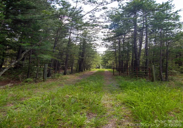 Photo 2 of Land for sale at 2682 Cold Springs Rd, Concord, NC 28025 | MLS# 4410208 | Listing updated on 2026-09-14