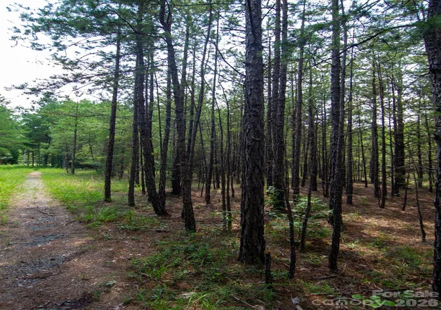 Photo 3 of Land for sale at 2682 Cold Springs Rd, Concord, NC 28025 | MLS# 4410208 | Listing updated on 2026-09-14