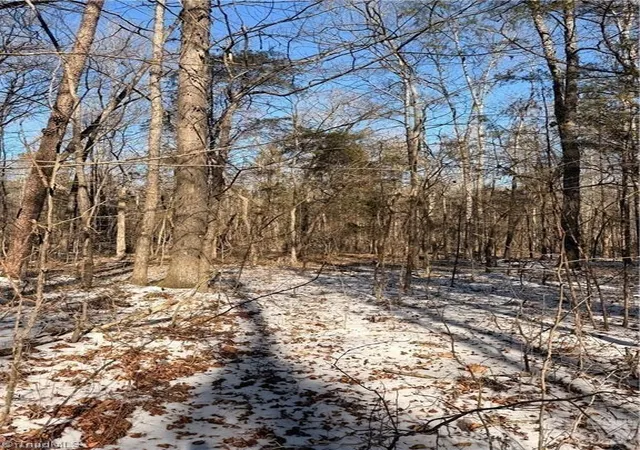 Photo 3 of Land for sale at 00 Stokes Fry Rd, Gold Hill, NC 28071 | MLS# 4411431 | Listing updated on 2026-09-11