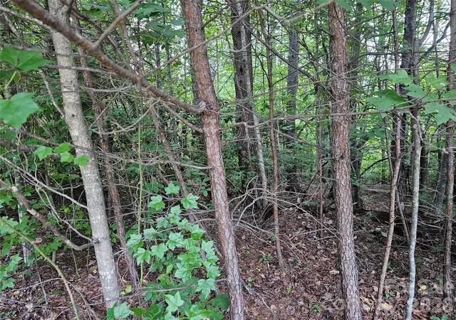 Photo 4 of Land for sale at 2043 Piper Dr #46, Lenoir, NC 28645 | MLS# 4412133 | Listing updated on 2026-09-12
