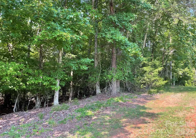 Photo 3 of Land for sale at 0 River Bnd Dr #48, Connelly Springs, NC 28612 | MLS# 4414960 | Listing updated on 2026-09-15