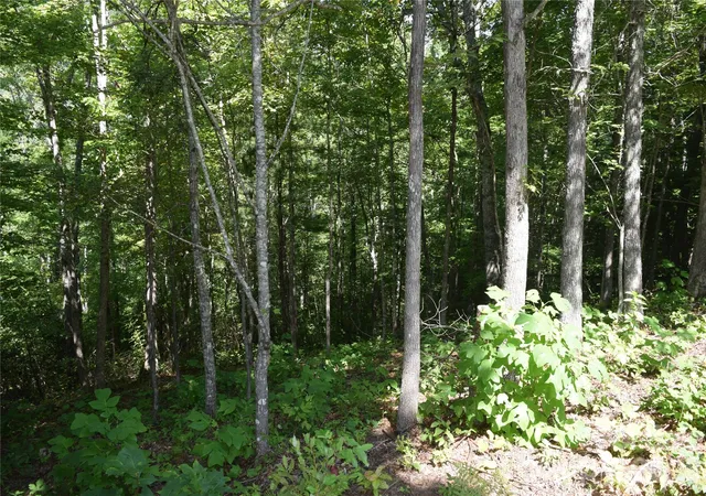 Photo 3 of Land for sale at Tbd Preservation Trl #47, Sylva, NC 28779 | MLS# 4416817 | Listing updated on 2026-10-15