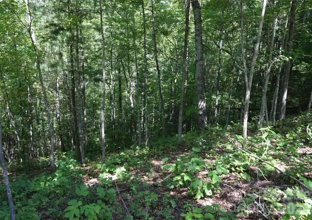 Photo 4 of Land for sale at Tbd Preservation Trl #47, Sylva, NC 28779 | MLS# 4416817 | Listing updated on 2026-10-15