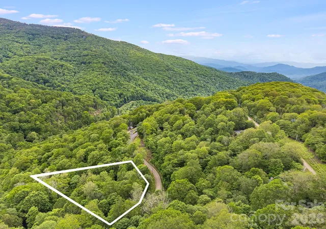 Land for sale at 65 Bee Tree Ln, Mars Hill, NC 28754 | MLS# 4416829