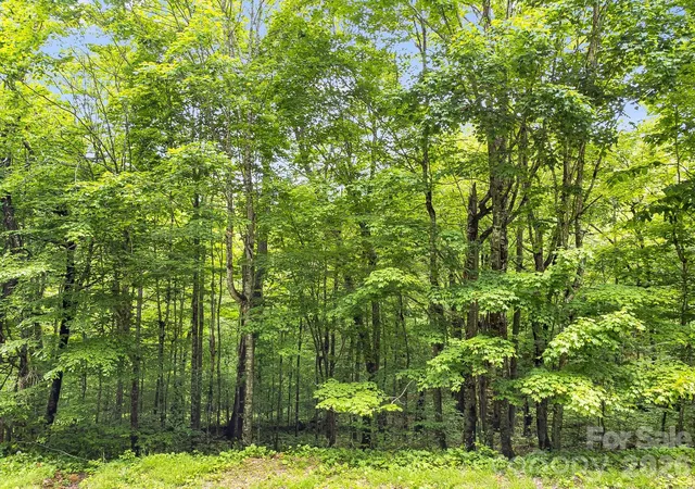Photo 2 of Land for sale at 65 Bee Tree Ln, Mars Hill, NC 28754 | MLS# 4416829 | Listing updated on 2026-09-15
