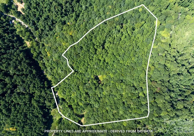 Photo 1 of Land for sale at 99999 Patsy Crk Rd, Burnsville, NC 28714 | MLS# 4417028 | Listing updated on 2026-09-10