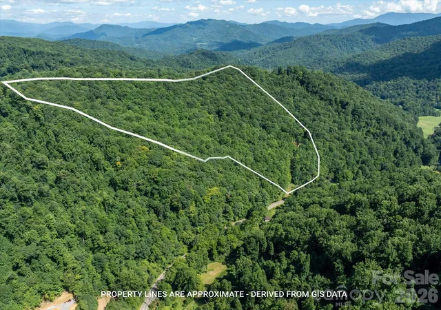 Photo 2 of Land for sale at 99999 Patsy Crk Rd, Burnsville, NC 28714 | MLS# 4417028 | Listing updated on 2026-09-10