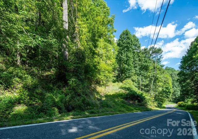 Photo 3 of Land for sale at 99999 Patsy Crk Rd, Burnsville, NC 28714 | MLS# 4417028 | Listing updated on 2026-09-10
