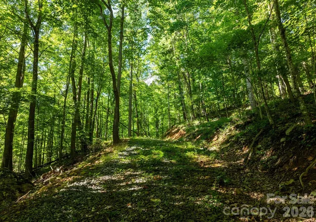 Photo 4 of Land for sale at 99999 Patsy Crk Rd, Burnsville, NC 28714 | MLS# 4417028 | Listing updated on 2026-09-10