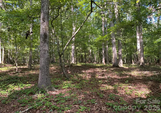 Photo 3 of Land for sale at 3317 Rilla Hamilton Rd, Monroe, NC 28110 | MLS# 4419679 | Listing updated on 2026-09-14