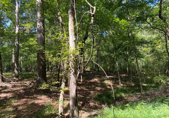 Photo 4 of Land for sale at 3317 Rilla Hamilton Rd, Monroe, NC 28110 | MLS# 4419679 | Listing updated on 2026-09-14
