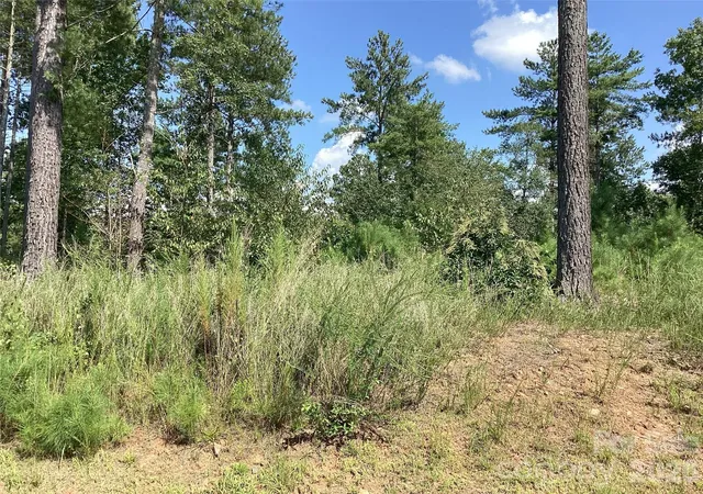 Photo 1 of Land for sale at 3292 Pyramid Peak Trl #211, Connellys Springs, NC 28612 | MLS# 4420098 | Listing updated on 2026-09-11