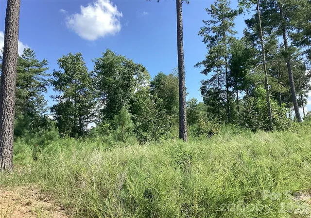 Photo 2 of Land for sale at 3292 Pyramid Peak Trl #211, Connellys Springs, NC 28612 | MLS# 4420098 | Listing updated on 2026-09-11