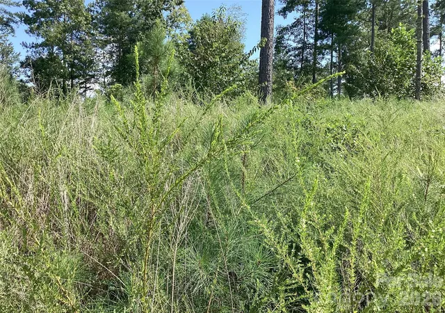 Photo 3 of Land for sale at 3292 Pyramid Peak Trl #211, Connellys Springs, NC 28612 | MLS# 4420098 | Listing updated on 2026-09-11