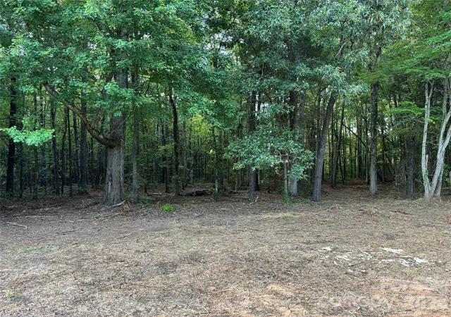 Photo 3 of Land for sale at 135 +/- Acres Mooresville Rd, Mooresville, NC 28115 | MLS# 4420152 | Listing updated on 2026-09-14