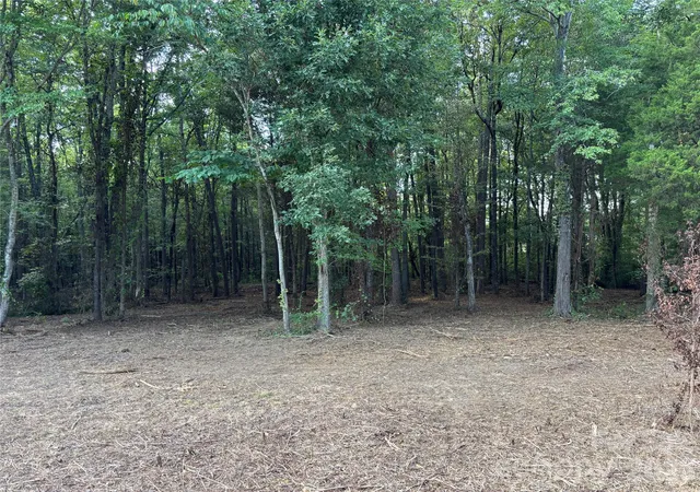 Photo 4 of Land for sale at 135 +/- Acres Mooresville Rd, Mooresville, NC 28115 | MLS# 4420152 | Listing updated on 2026-09-14