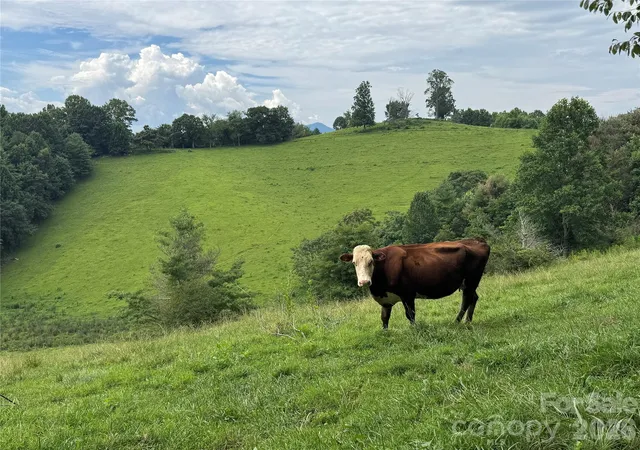 Land for sale at 0 Union Hl Church Rd, Green Mountain, NC 28740 | MLS# 4420574
