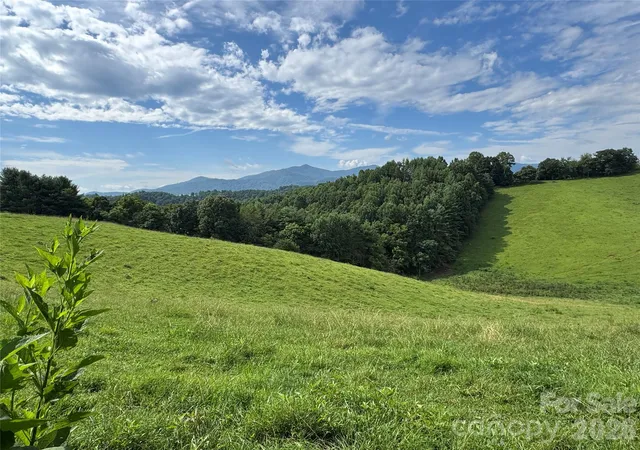 Photo 2 of Land for sale at 0 Union Hl Church Rd, Green Mountain, NC 28740 | MLS# 4420574 | Listing updated on 2026-09-15