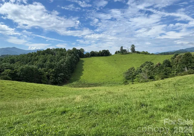 Photo 3 of Land for sale at 0 Union Hl Church Rd, Green Mountain, NC 28740 | MLS# 4420574 | Listing updated on 2026-09-15