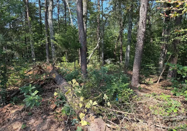 Photo 4 of Land for sale at 0 Katherine Dr #182, Denver, NC 28037 | MLS# 4420809 | Listing updated on 2026-09-15