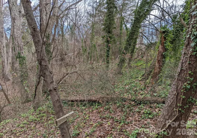 Photo 2 of Land for sale at 298 Elysian Dr #68, Mooresville, NC 28117 | MLS# 4421152 | Listing updated on 2026-09-14