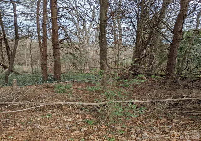 Photo 3 of Land for sale at 298 Elysian Dr #68, Mooresville, NC 28117 | MLS# 4421152 | Listing updated on 2026-09-14