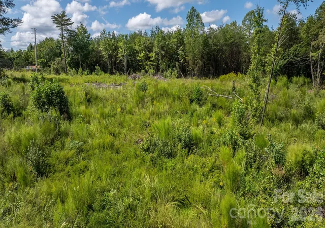 Photo 3 of Land for sale at 817 Drucilla Church Rd, Nebo, NC 28761 | MLS# 4421476 | Listing updated on 2026-09-11