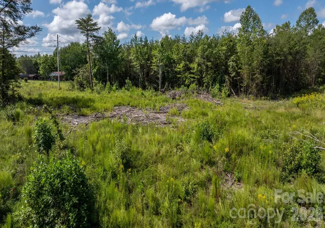 Photo 3 of Land for sale at 817 Drucilla Church Rd, Nebo, NC 28761 | MLS# 4421476 | Listing updated on 2026-09-11