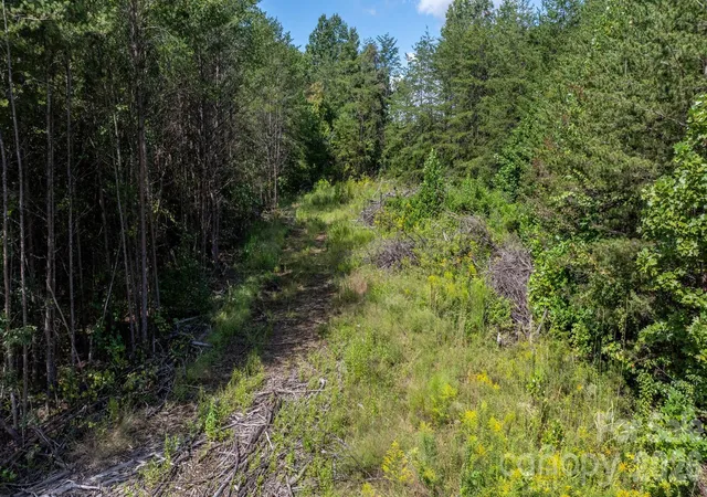 Photo 4 of Land for sale at 817 Drucilla Church Rd, Nebo, NC 28761 | MLS# 4421476 | Listing updated on 2026-09-11