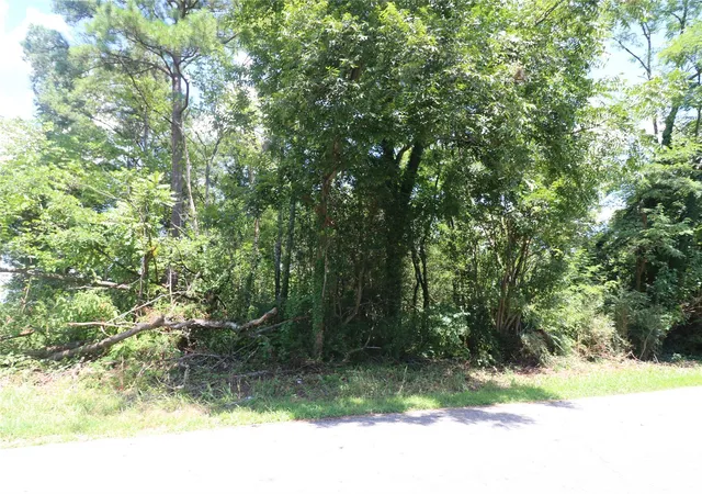 Photo 2 of Land for sale at 0 Springfield Dr, Forest City, NC 28043 | MLS# 4422168 | Listing updated on 2026-09-14